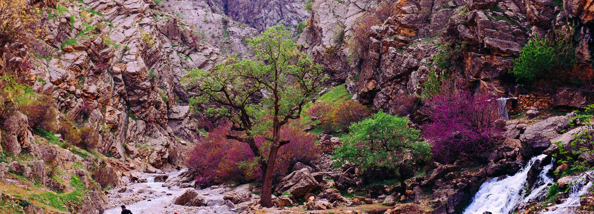 طبیعت کردستان ایران - ویکی ووک